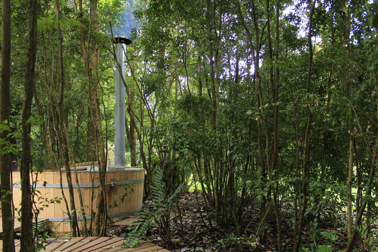 Dreamwoods Villa Puerto Varas Ngoại thất bức ảnh