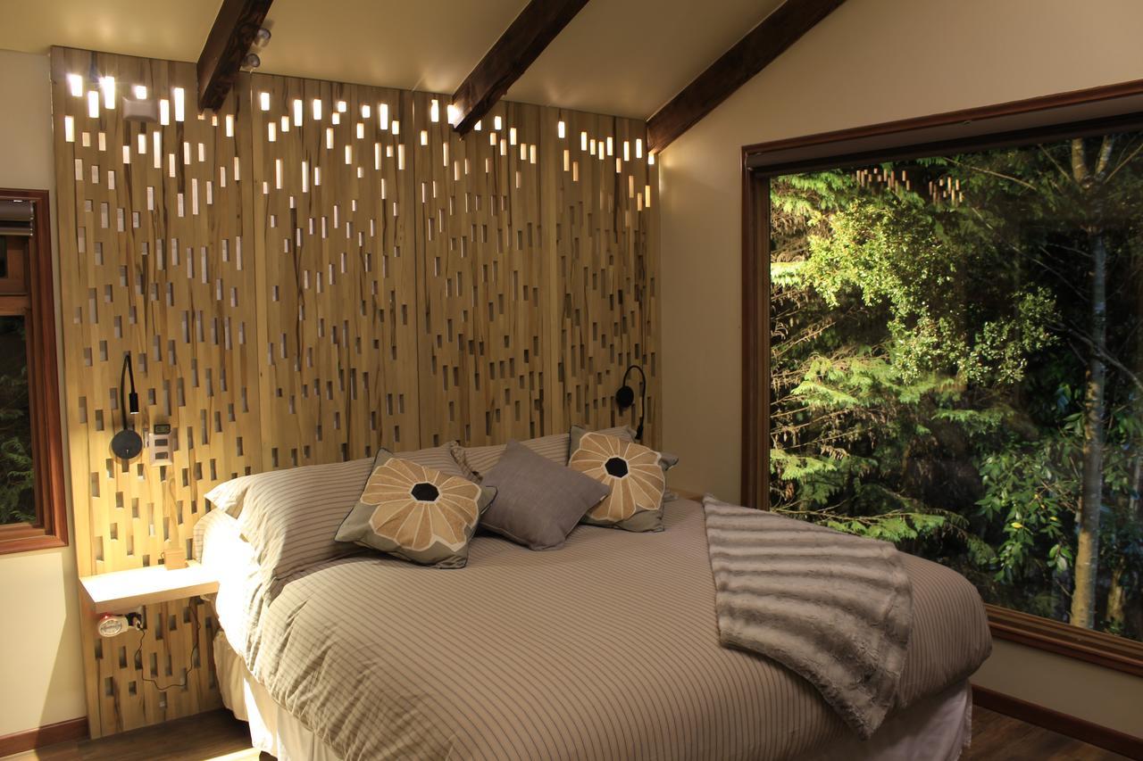 Dreamwoods Villa Puerto Varas Ngoại thất bức ảnh