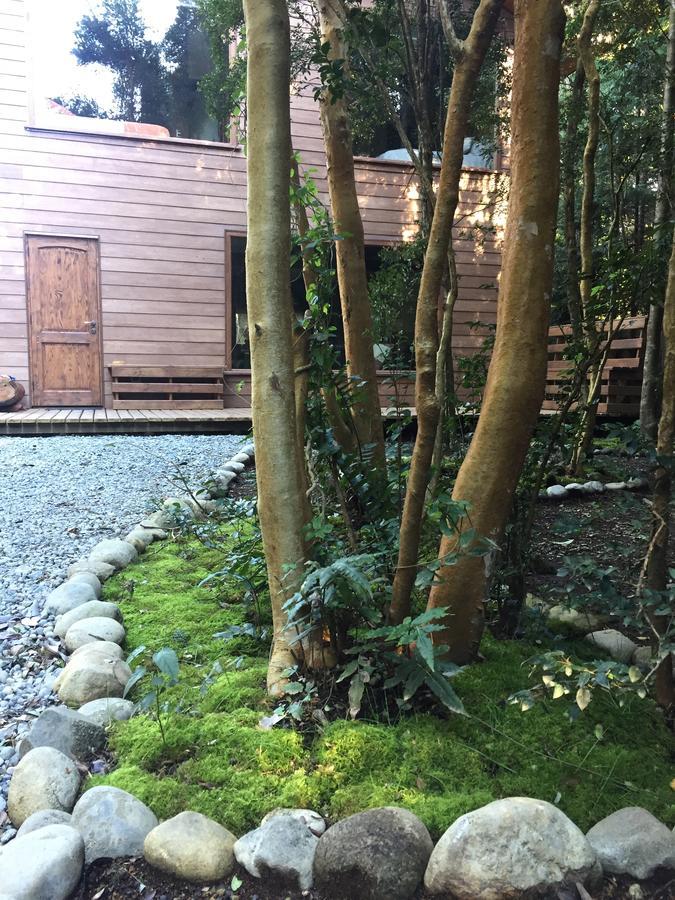 Dreamwoods Villa Puerto Varas Ngoại thất bức ảnh